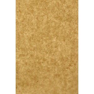 Vaxat papper ark 17 kg 36x24
