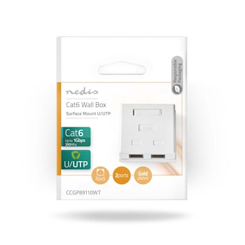 Nettverksveggboks på vegg 2-Port UTP CAT6