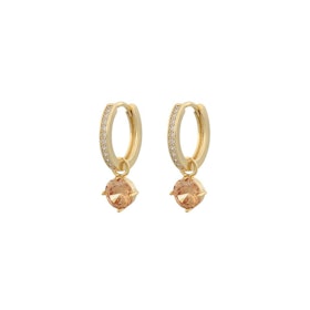 Rola Round Ring Earring Gold/Champagne