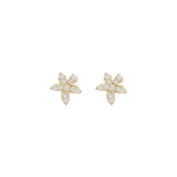 Lana Small Ear Dahlia Gold/Clear