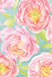 DOFTPÅSE FRESH SCENTS- CUT PEONY