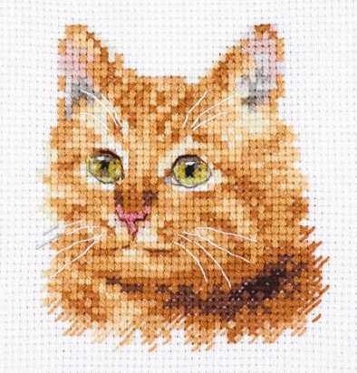 Broderikit Tavla Porträtt av rödhårig katt