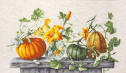 Broderikit Tavla Pumpor