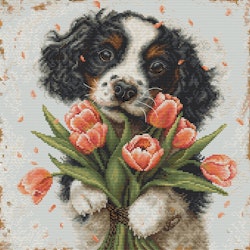 Broderikit Tavla Cocker spaniel Valpen med tulpaner