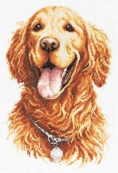 Broderikit Tavla Golden retriever Hund
