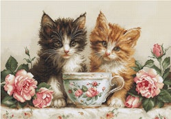 Broderikit Tavla Morning of the Cats - Kattungar bland rosor