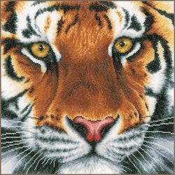 Broderikit Tavla Tiger
