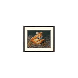 Broderikit Tavla Sunlit fox - Räv i solljus