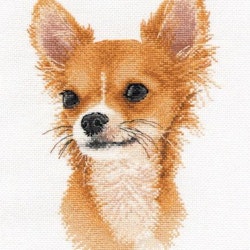 Broderikit Tavla Little friend. Chihuahua