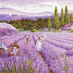 Broderikit Tavla Lavender Field