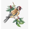 Broderikit Tavla Goldfinch bird