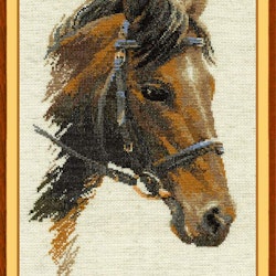 Broderikit Tavla Hästporträtt Bästa vän