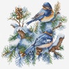 Broderikit Tavla The birds-winter