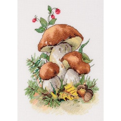 Broderikit Tavla Karljohanssvamp