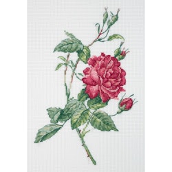Broderikit Tavla Botanik. Ros