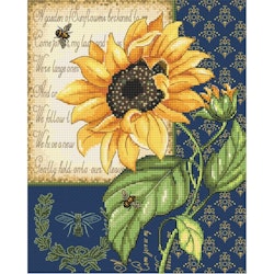 Broderikit Tavla Solros