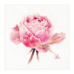 Broderikit Tavla Watercolor roses. Pink exquisite - Ros