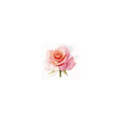 Broderikit Tavla The breath of Rose. Tenderness - Ros