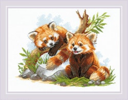 Broderikit Tavla Red Panda Cubs- Röda pandaungar