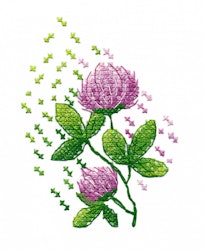 Broderikit Embroidery Clover - Klöver