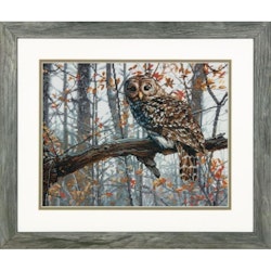 Broderikit Tavla Wise Owl - Uggla
