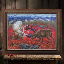 Broderikit Tavla Law of the Tundra -  Hjort