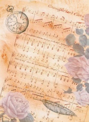 Tryckta broderiväv Aida 6,3 rutor/cm 16 count 21 cm x 30 cm