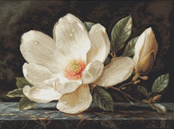 Broderikit Tavla The Magnolia Dew - Daggdroppar på magnolia blomma