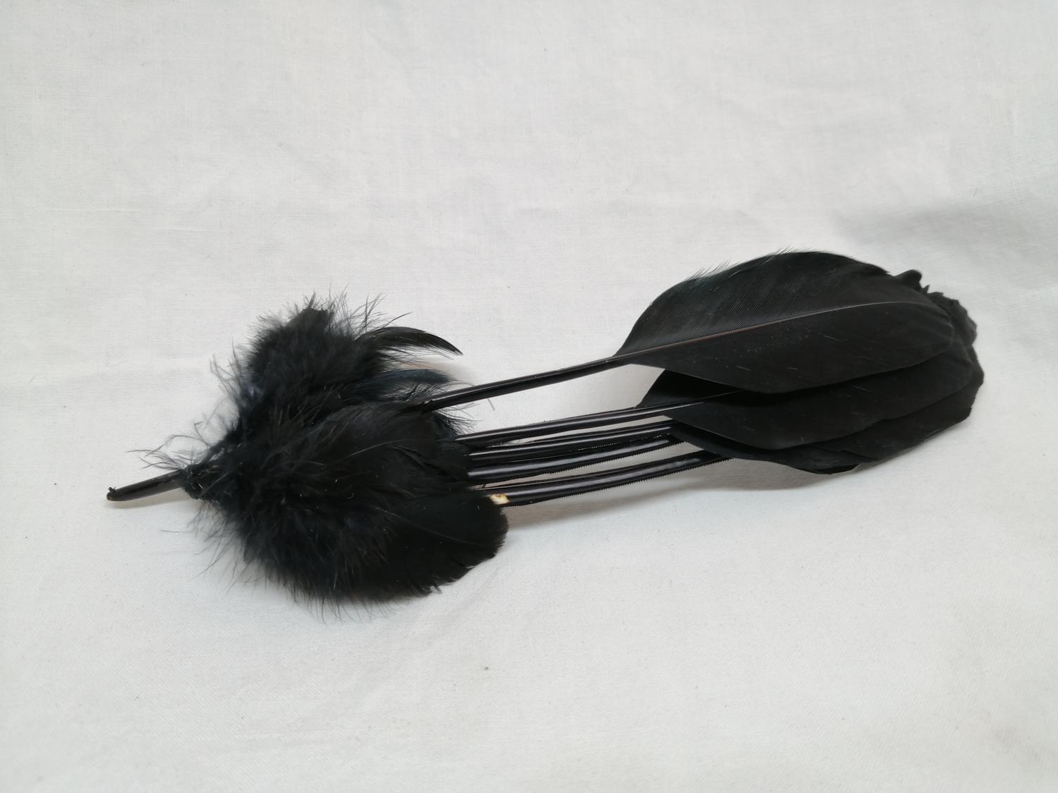 Vintage hattdekoration esprit 5 fjäderpennor svart-glänsande