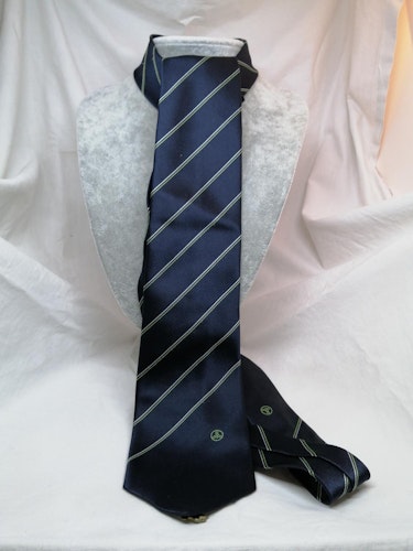 Retro slips blå diagonalrandig smala ränder grönt vitt symbol smycke Alpi