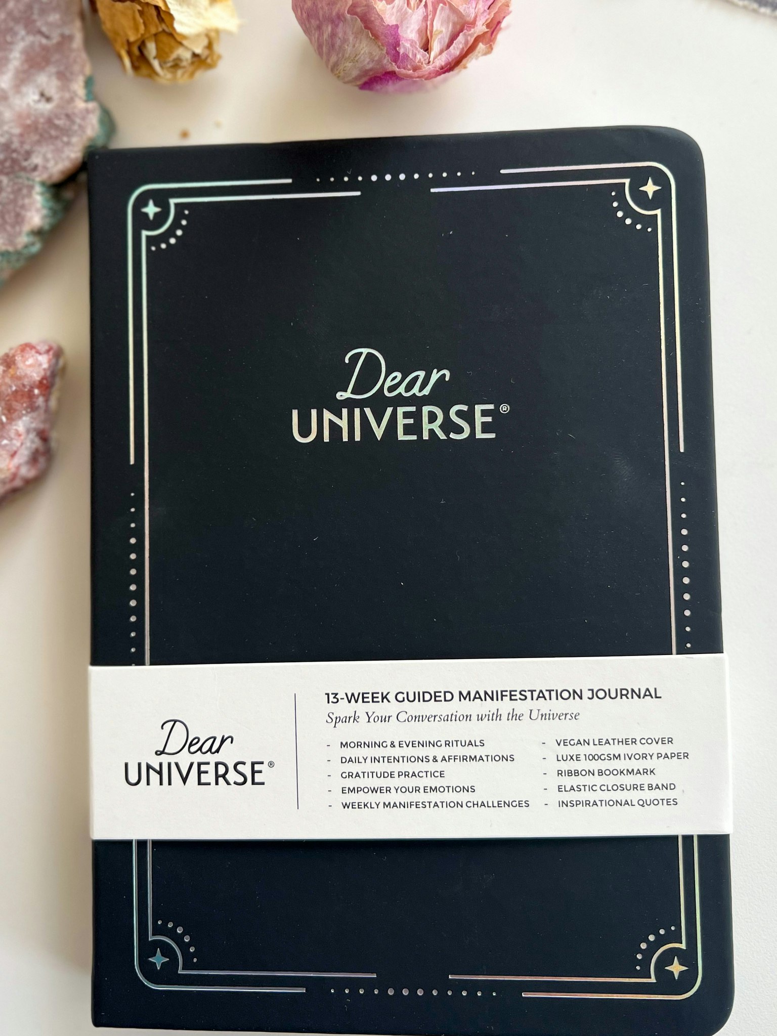 Dear universe - tacksamhetsjournal, silver edition