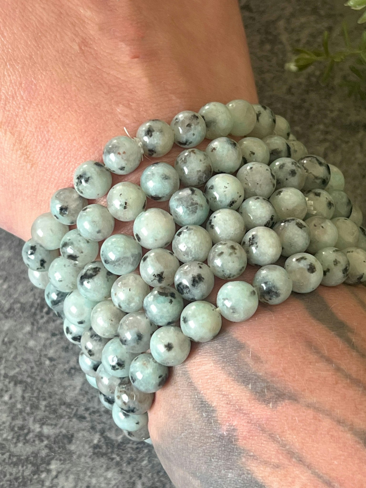 Mintgröna Kiwi jaspis armband 8mm