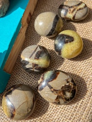 Septarian handsten