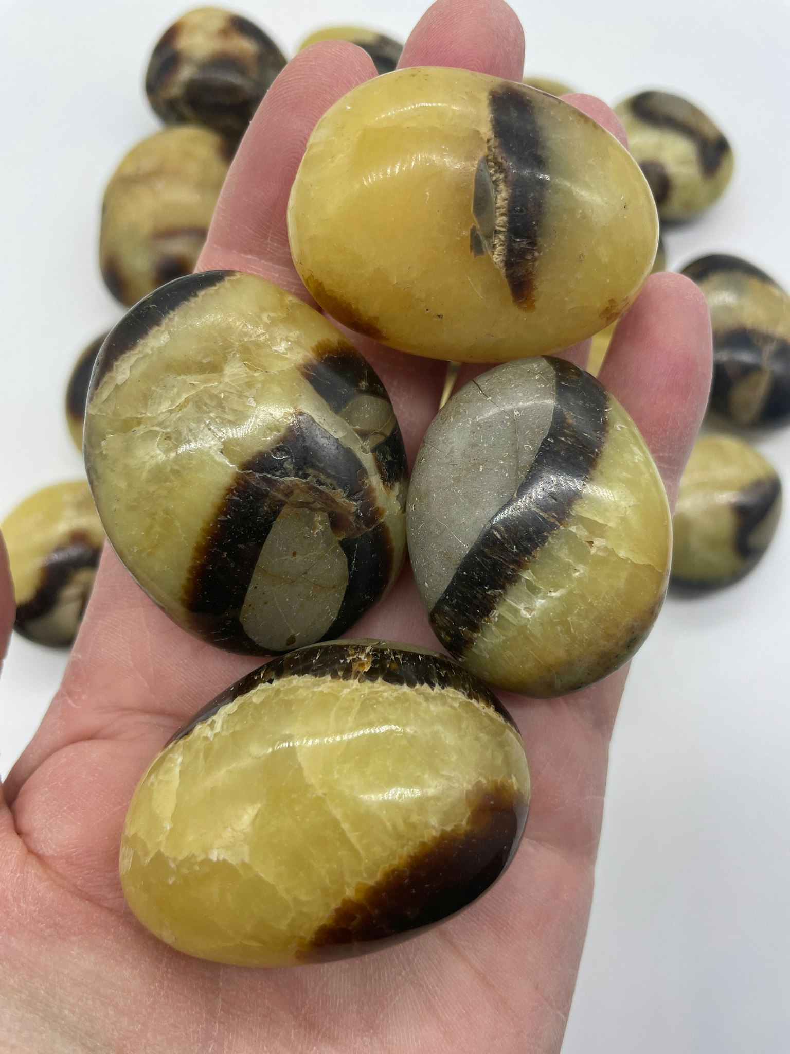 bilden visar många minihandstenar i Septarian även kallad draksten