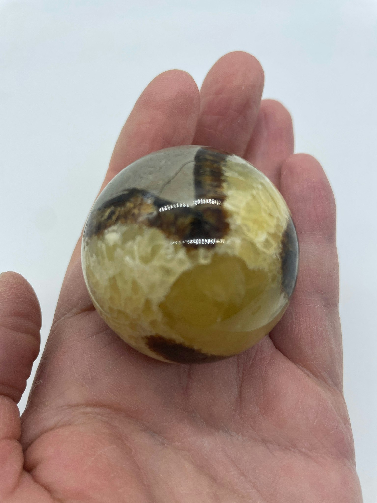 bilden visar ett klot i Septarian även kallad draksten