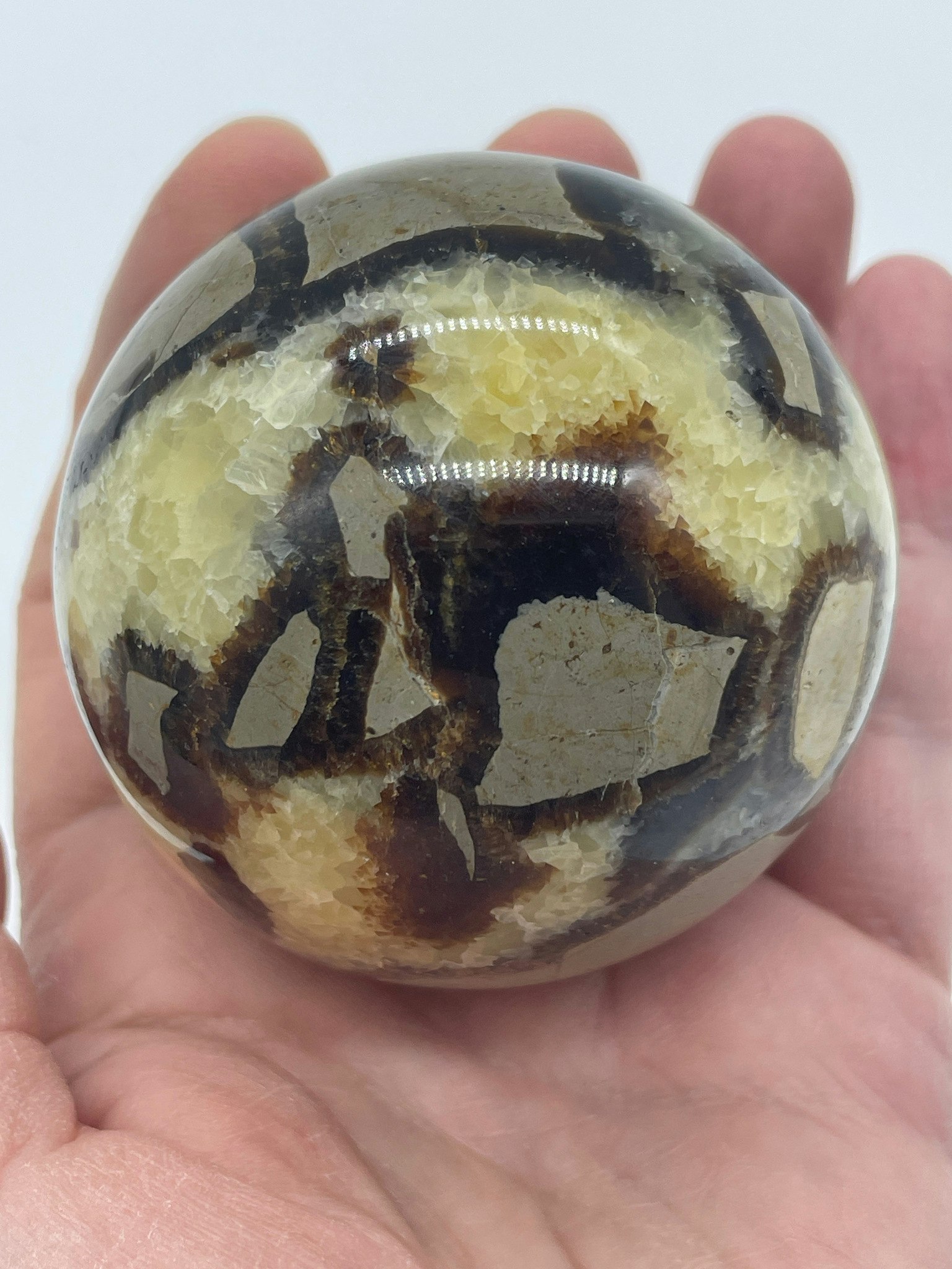 bilden visar ett klot i Septarian även kallad draksten