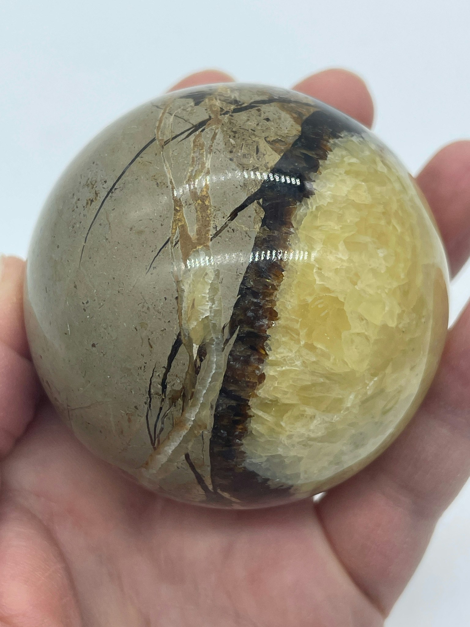 bilden visar ett klot i Septarian även kallad draksten