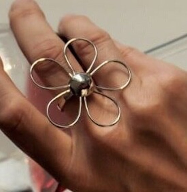 Modesty - Perfect Silverring blomma