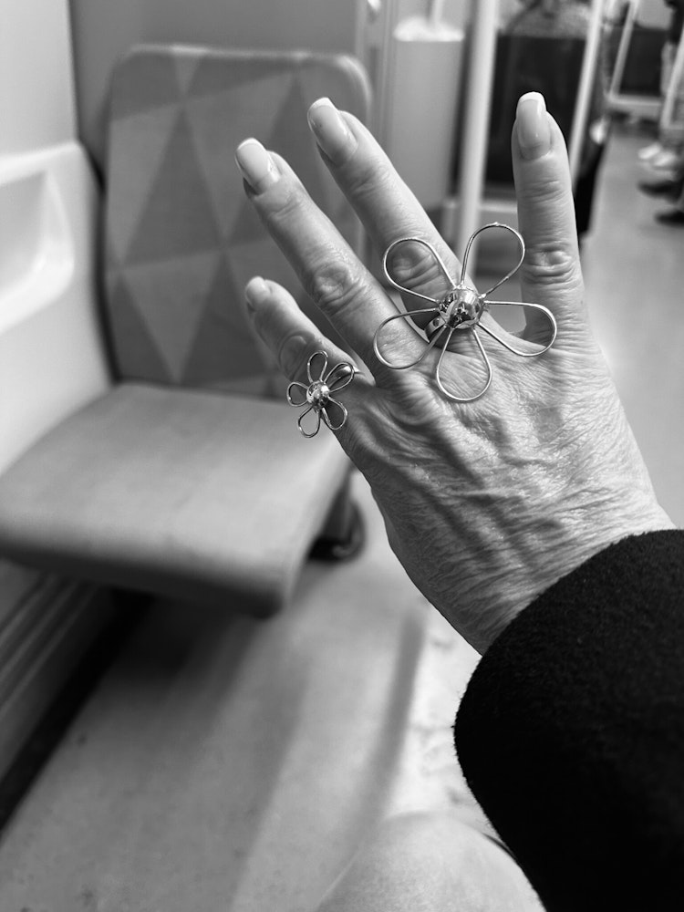 Modesty - Perfect Silverring blomma