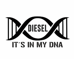 It´s in my DNA - Diesel