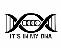 It´s in my DNA - Audi