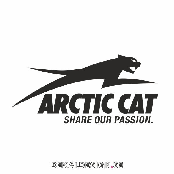 Arctic cat2