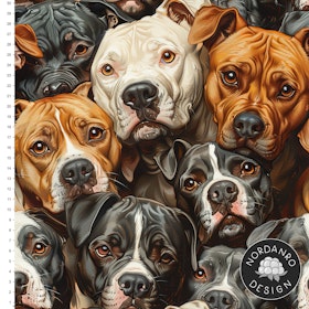 Pitbull