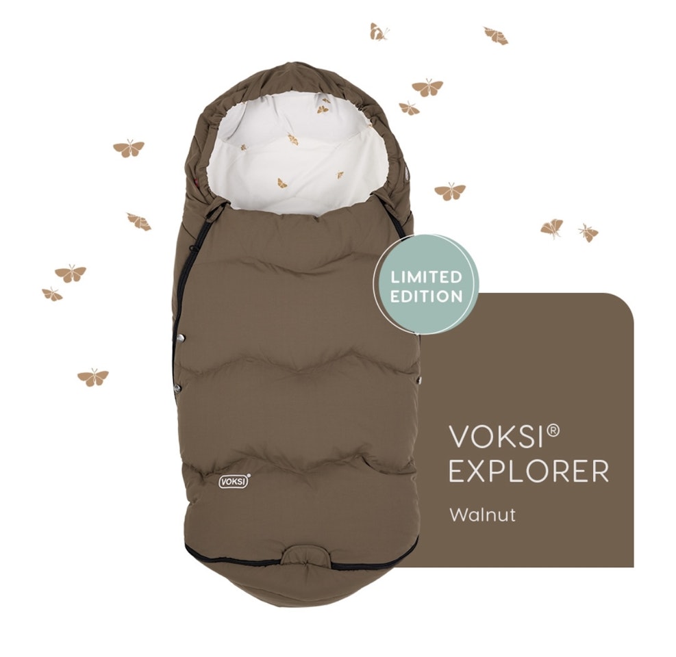 Voksi Explorer Walnut