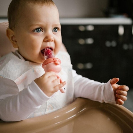 BabyOno Twist-out baby food feeder Frog