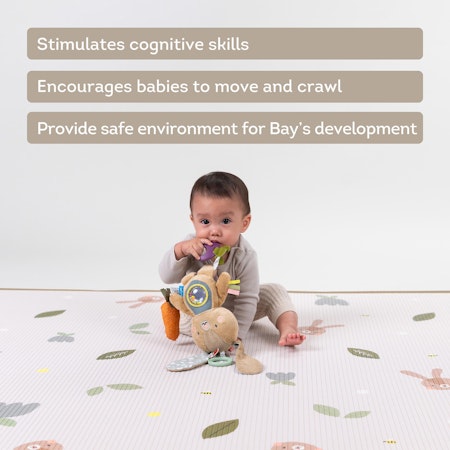 Taf Toys Roll & Play foam mat