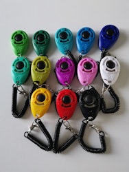 Klicker med armband