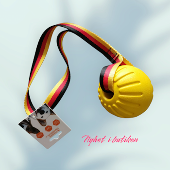 Boll med handtag / rep