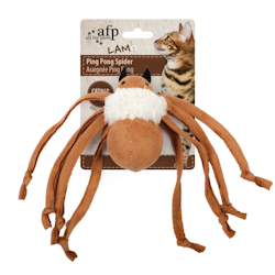 Spindel