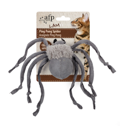 Spindel